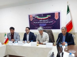 رئیس فدراسیون ورزش‌های جانبازان و توان‌یابان: 