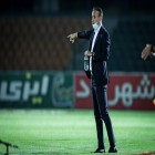 گل محمدی: 
