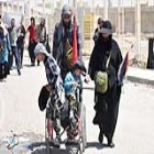 گزارش تصویری؛