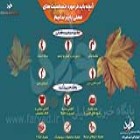 اینفوگرافی؛