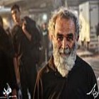 گزارش تصویری؛