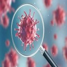 محققان مشاهده کردند؛