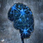 مطالعات نشان می‌دهد؛