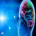 محققان سوئدی پی بردند؛