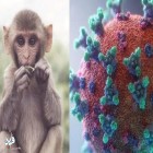 یافته محققان بالینی؛