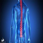 یافته جدید محققان؛