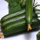 راهکار محققان برای مقابله با گرمای تابستان؛