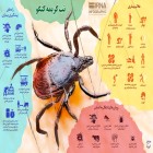 رئیس مرکز مدیریت بیماری های واگیر وزارت بهداشت: