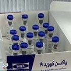 عضو کمیته علمی ستاد ملی مقابله با کرونا خبر داد؛