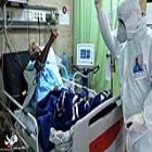 عضو ستاد ملی مقابله با کرونا: 
