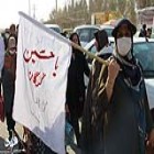 گزارش تصویری؛