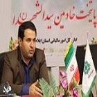 مدیر کل امور مالیاتی استان ایلام: