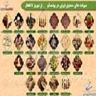 اینفوگرافی؛