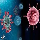 هشدار بهداشتی در ایلام: