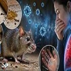 دانشیار ویروس‌شناسی دانشگاه علوم پزشکی ایلام: