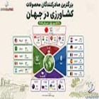 اینفوگرافی؛