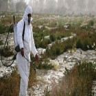 وزارت جهاد کشاورزی؛